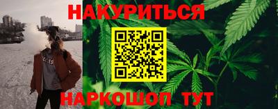 крисы Новокубанск