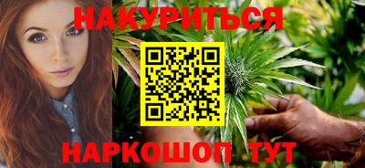 крисы Новокубанск