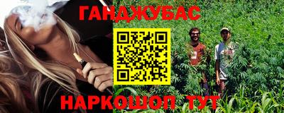 альфа пвп Новодвинск
