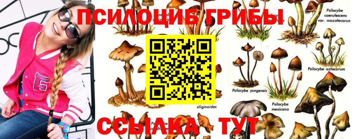 Светлоград  Псилоцибиновые грибы мухоморы  Вход с VPN 