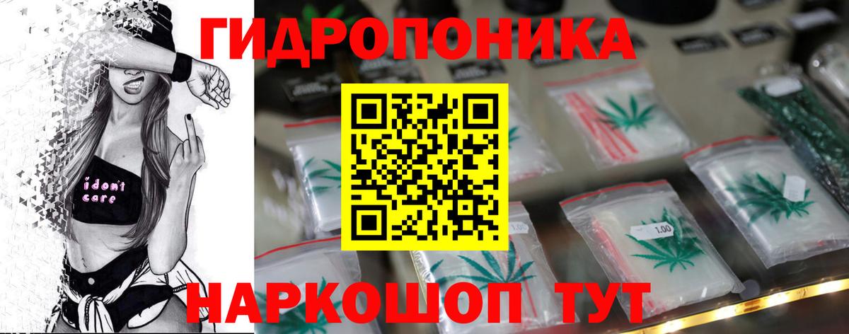 Бошки марихуана сатива Светлоград